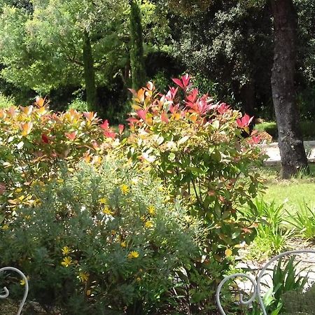La Louvetiere Hotel Roquefort-les-Pins Buitenkant foto